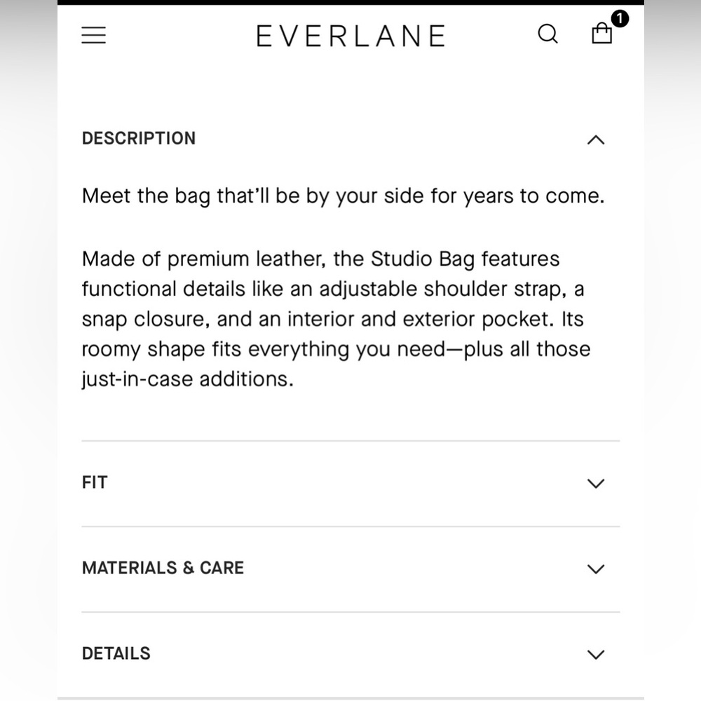 Everlane The Studio Bag - Picture 13 of 16